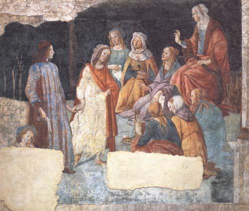 Sandro Botticelli Lorenzo Tornabuoni Spain oil painting art